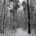 january2012-013