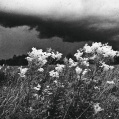 © Killzero Hitori | Россия, Гатчина