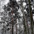 january2012-012