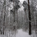 january2012-013