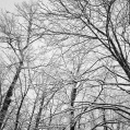 © Killzero Hitori | Россия, Санкт-Петербург
