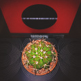 © Killzero Hitori | Cactaceae