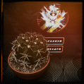 © Killzero Hitori | Cactaceae