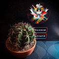 © Killzero Hitori | Cactaceae