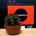 © Killzero Hitori | Cactaceae