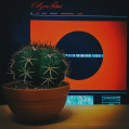 © Killzero Hitori | Cactaceae