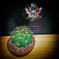 © Killzero Hitori | Cactaceae