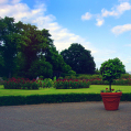© Killzero Hitori | Kensington Palace