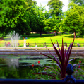 © Killzero Hitori | Kensington Palace